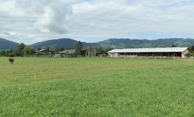 Farm stay Steigmatt Bauernhof- Erlebnis Montlingen