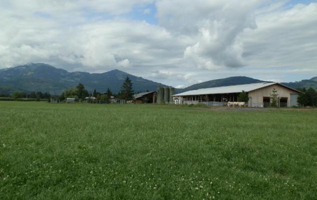 Steigmatt Bauernhof- Erlebnis Farm stay Montlingen