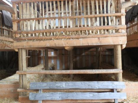 Farm stay Steigmatt Bauernhof- Erlebnis