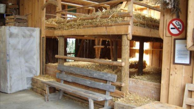 Farm stay Steigmatt Bauernhof- Erlebnis